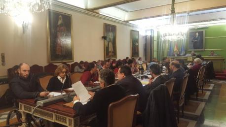Plenu d'Uviéu oficialidá