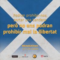 La “estelada” podrá entrar a la final de la Copa del Rei