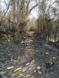 Asturies rexistró 380 quemes nuna selmana