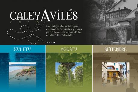 Visites guiaes per Avilés