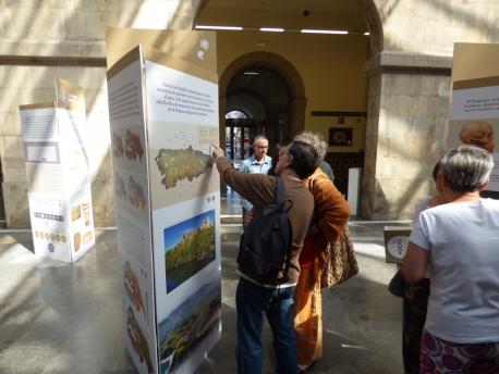 La esposición 'Voces' fai parada en Xixón