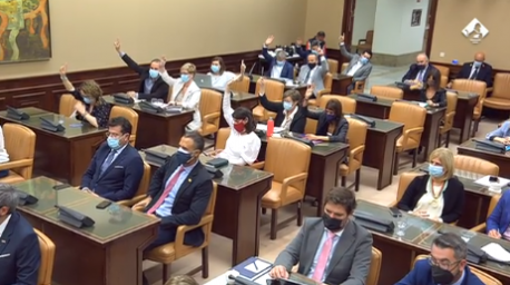 Votación PNL subvenciones traducción