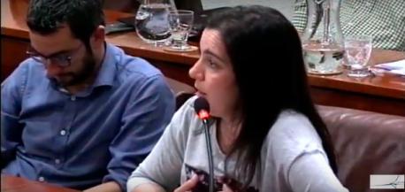 El Conceyu d’Avilés retrasa l’aprobación de les ordenances d’asturianu a “depués del branu”