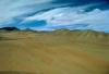 Selves y desiertos