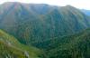 Les viesques y los montes